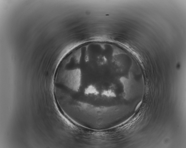 X0000100861239200806271152