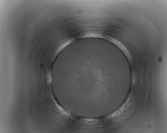 X0000100861241200806271152