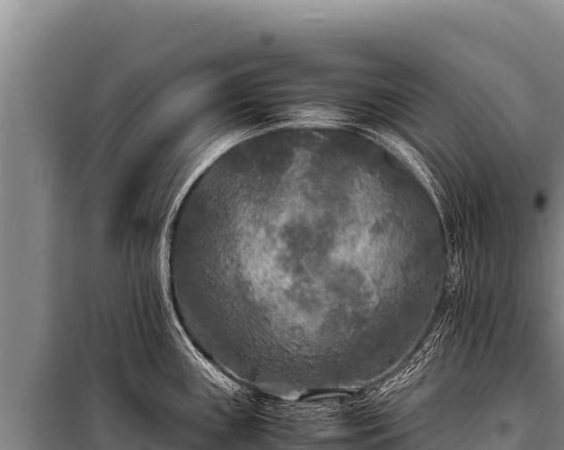 X0000100861243200806271152