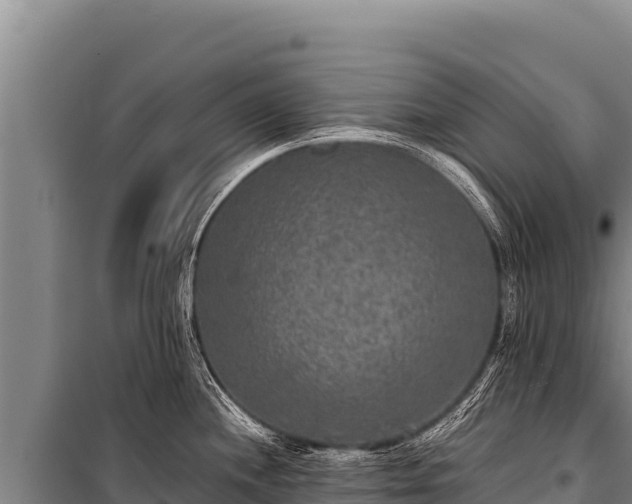 X0000100861244200806271152