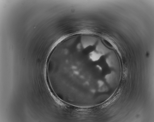 X0000100861245200806271152