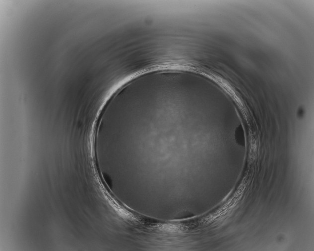 X0000100861246200806271152