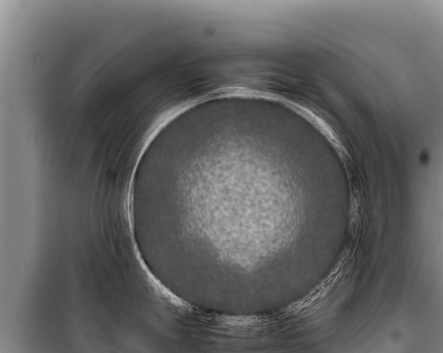 X0000100861247200806271152