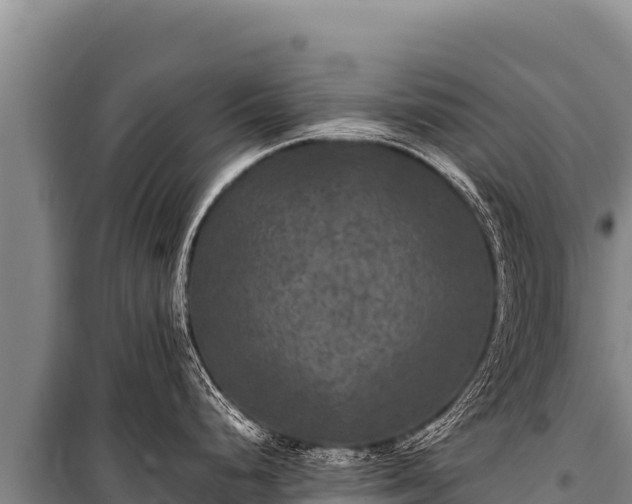 X0000100861248200806271152