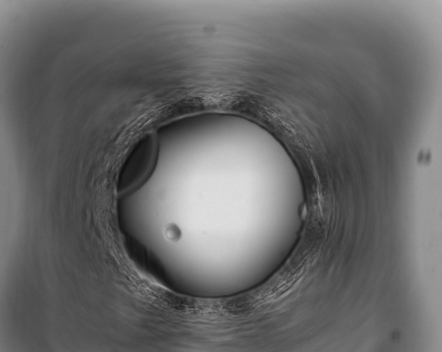 X0000100861249200806271151