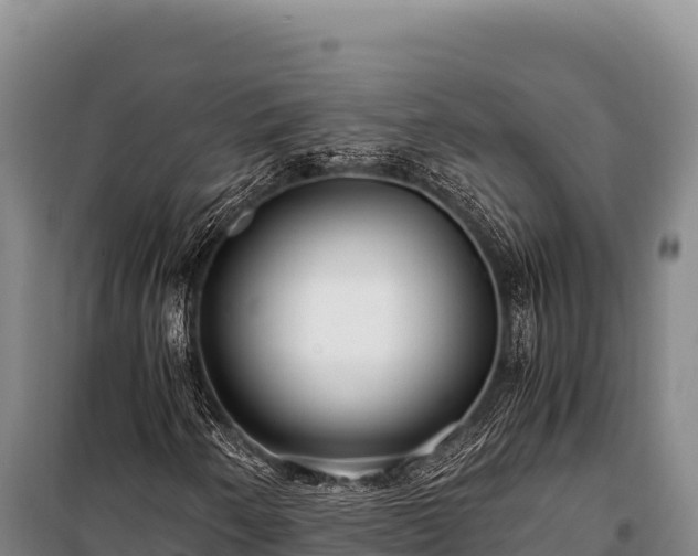 X0000100861250200806271151