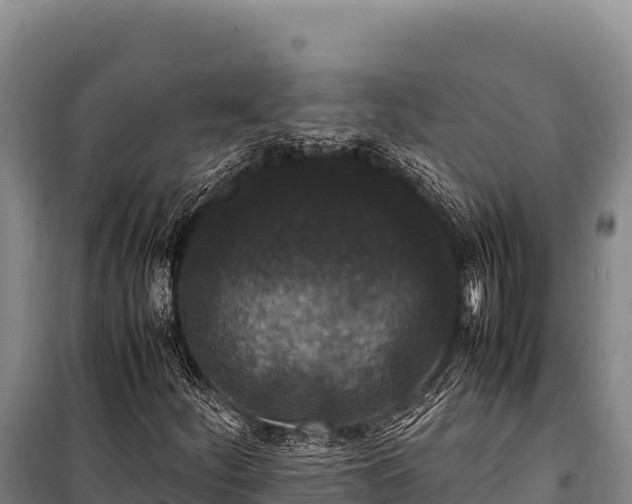 X0000100861252200806271151