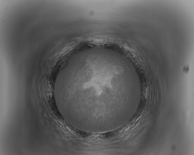 X0000100861253200806271151