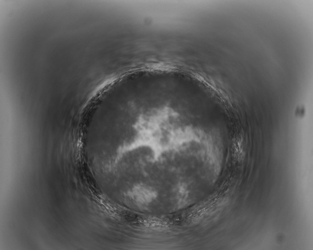 X0000100861254200806271151