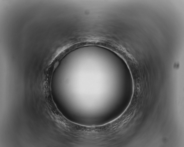 X0000100861256200806271151