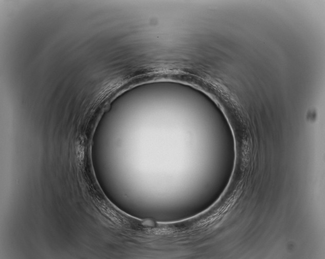 X0000100861257200806271151