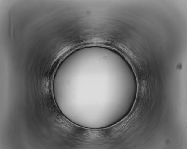 X0000100861258200806271151