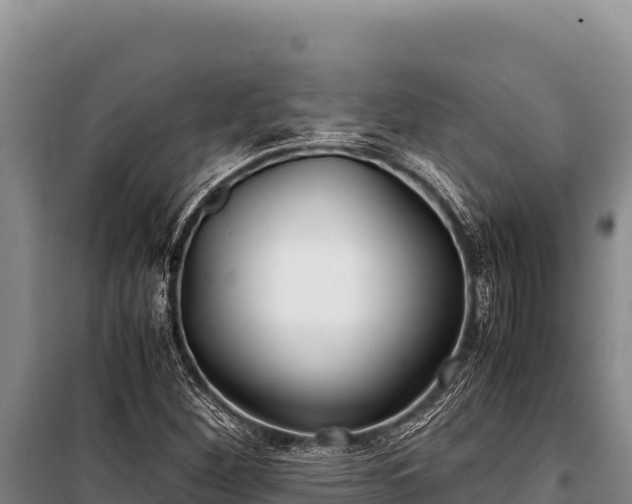 X0000100861260200806271151