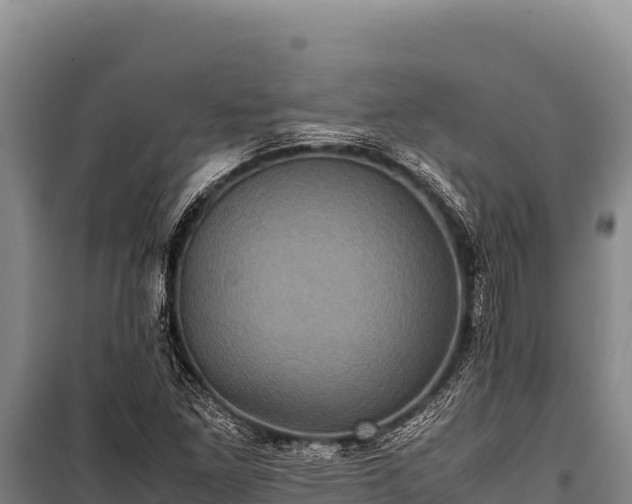 X0000100861261200806271151