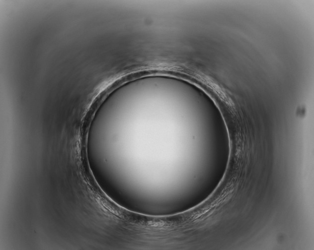 X0000100861264200806271151