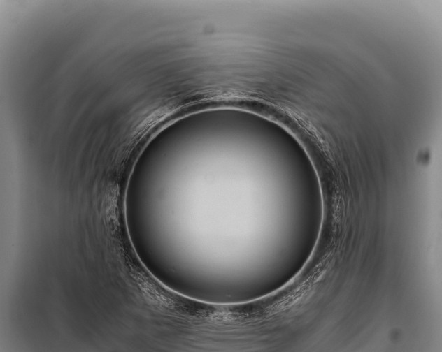 X0000100861265200806271151