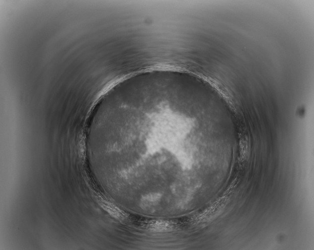 X0000100861266200806271151