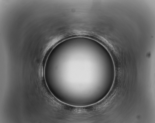 X0000100861269200806271151