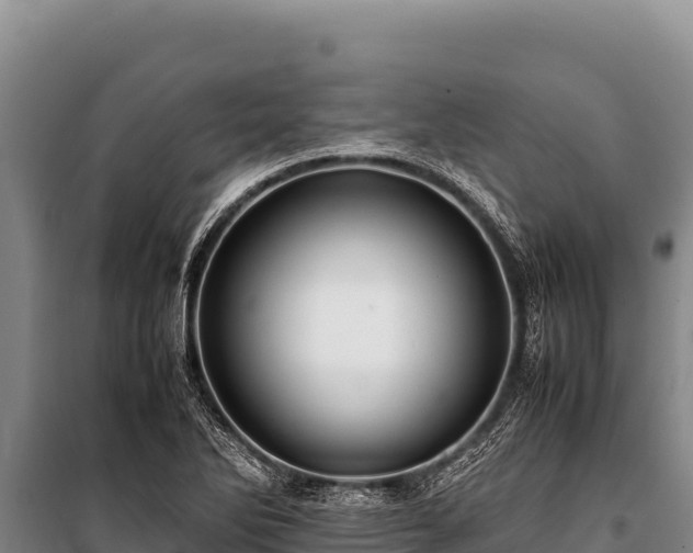 X0000100861270200806271151