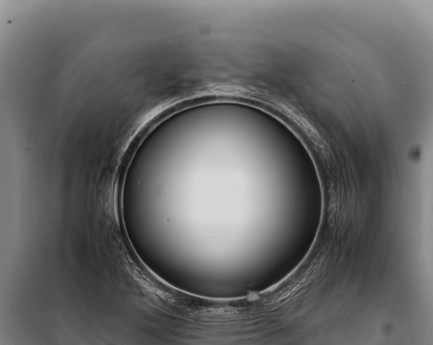 X0000100861272200806271151