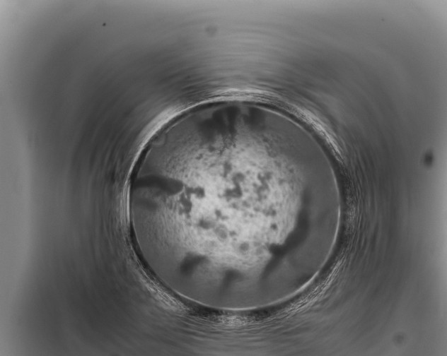 X0000100861275200806271151