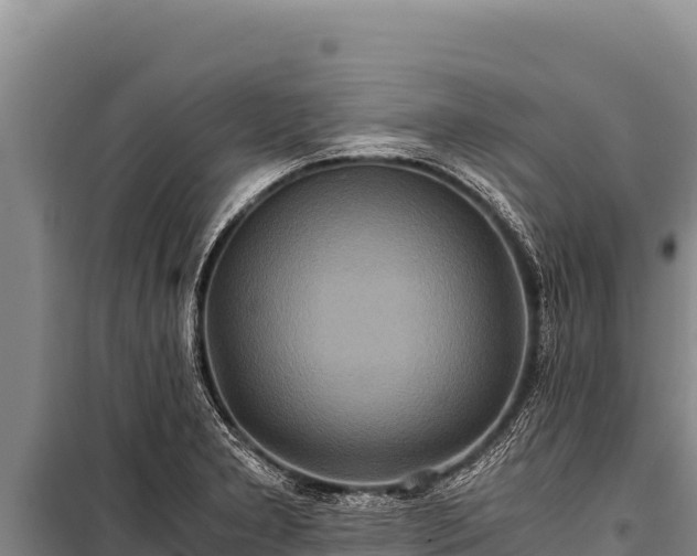 X0000100861277200806271151