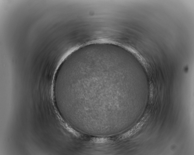 X0000100861278200806271151