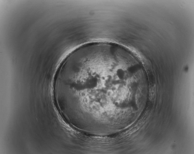 X0000100861279200806271151