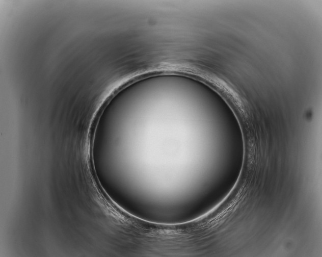 X0000100861280200806271151