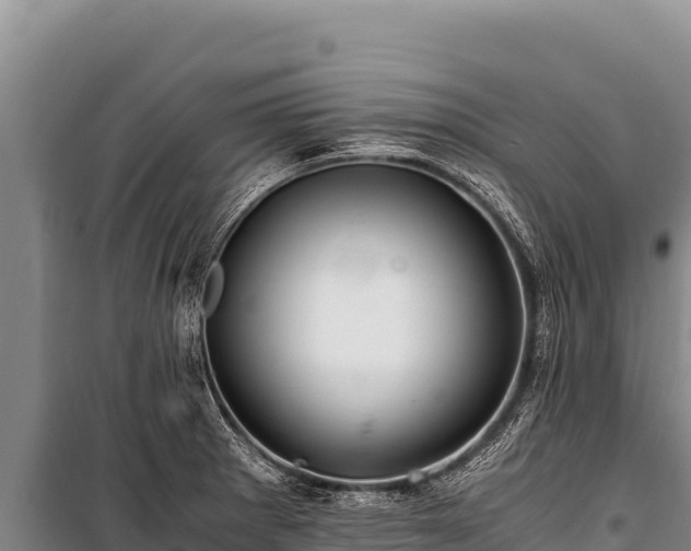 X0000100861281200806271151