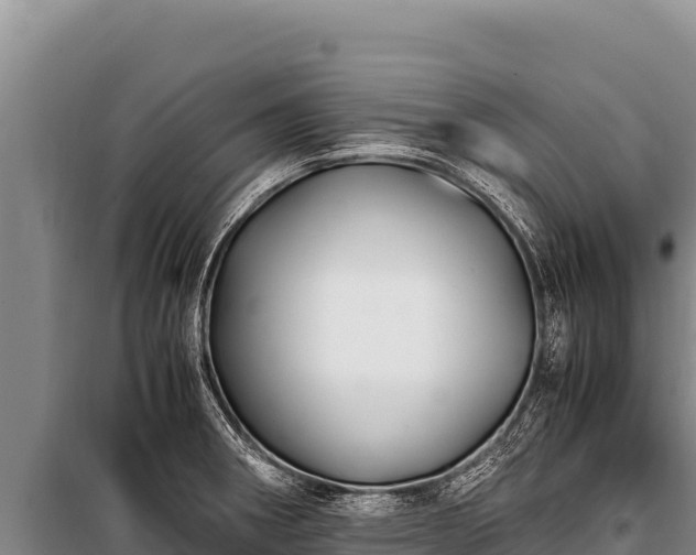 X0000100861282200806271151