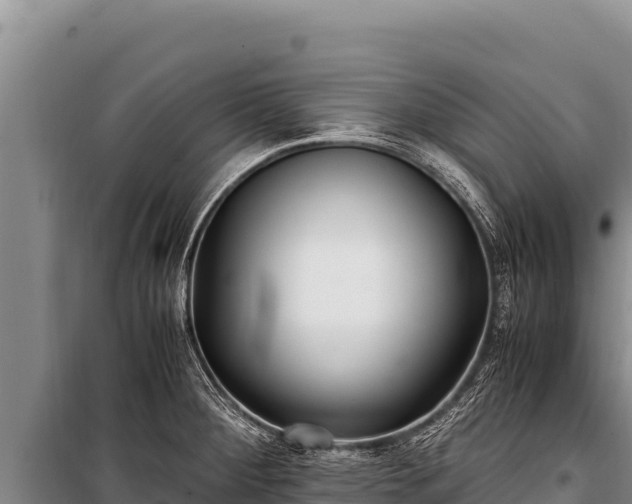 X0000100861284200806271151