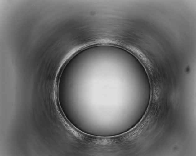 X0000100861286200806271151