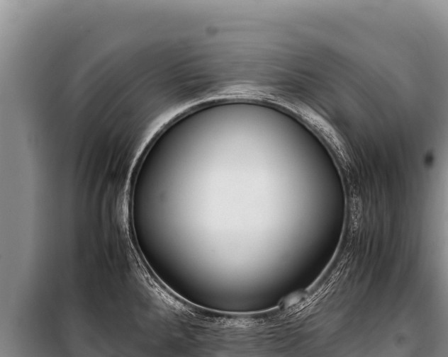 X0000100861288200806271151