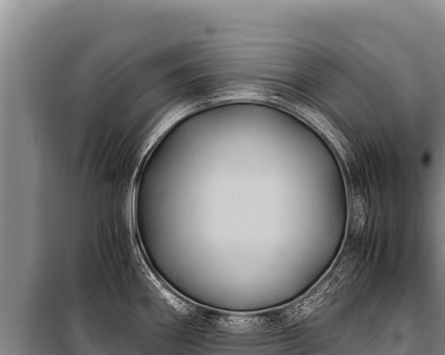 X0000100861290200806271151