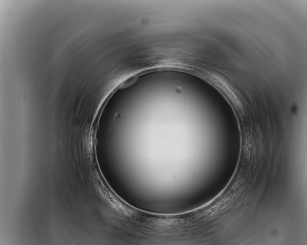 X0000100861292200806271151