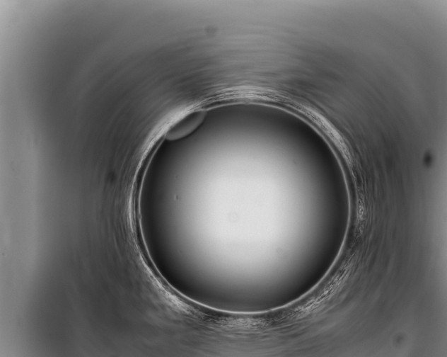 X0000100861293200806271151