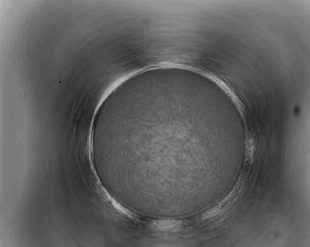 X0000100861294200806271151