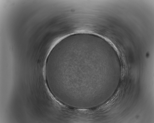 X0000100861295200806271151