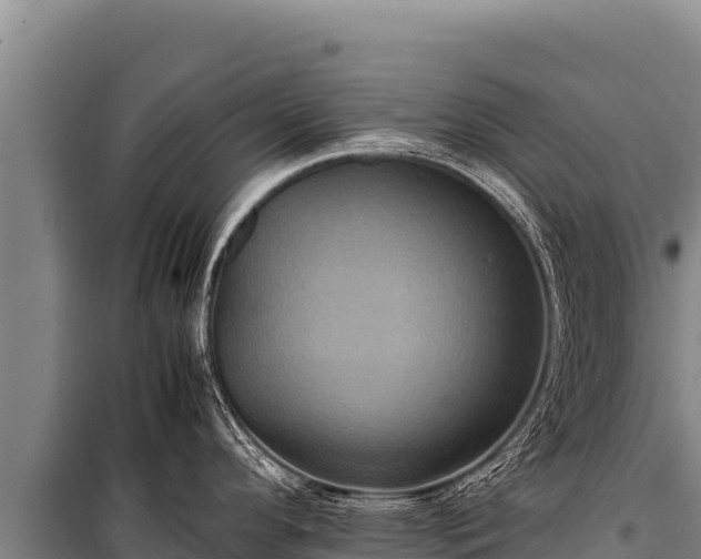 X0000100861296200806271151