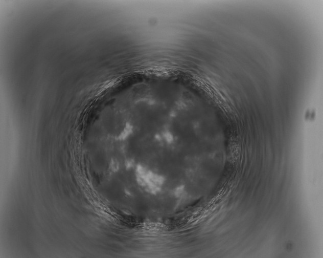 X0000100861297200806271150