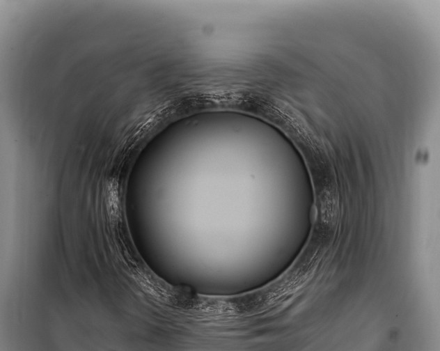 X0000100861298200806271150