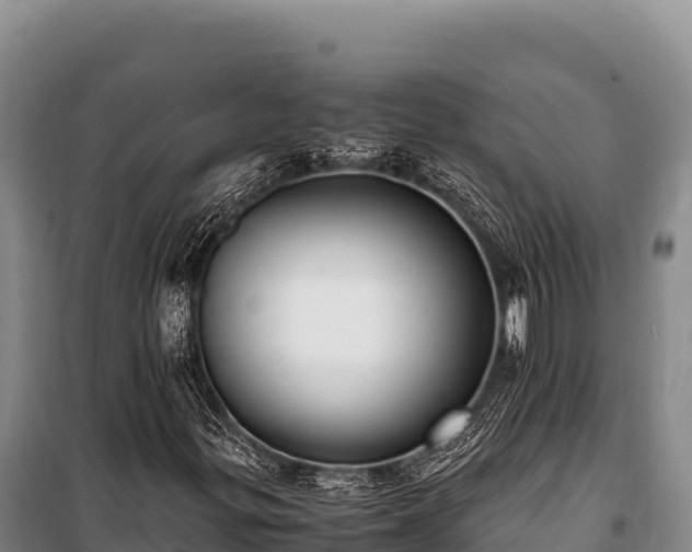 X0000100861299200806271150