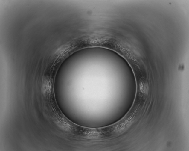 X0000100861300200806271150