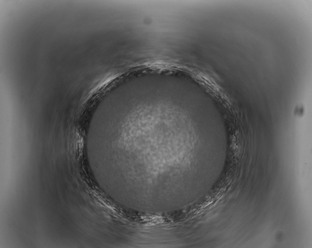 X0000100861302200806271150