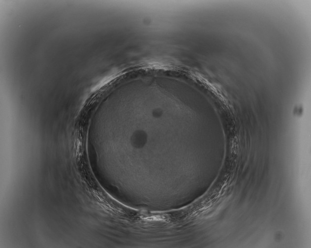 X0000100861303200806271150