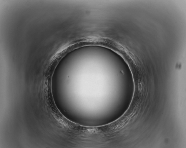 X0000100861304200806271150