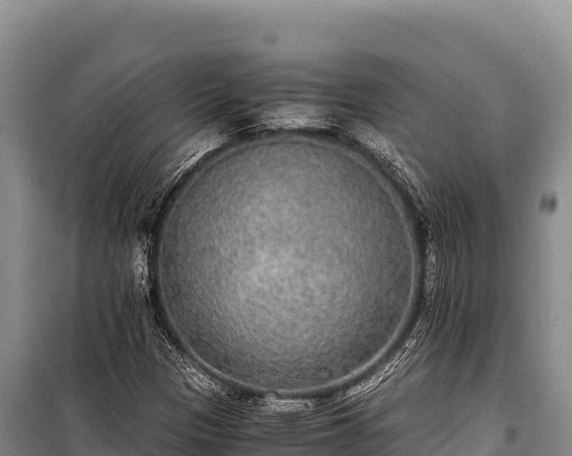 X0000100861305200806271150