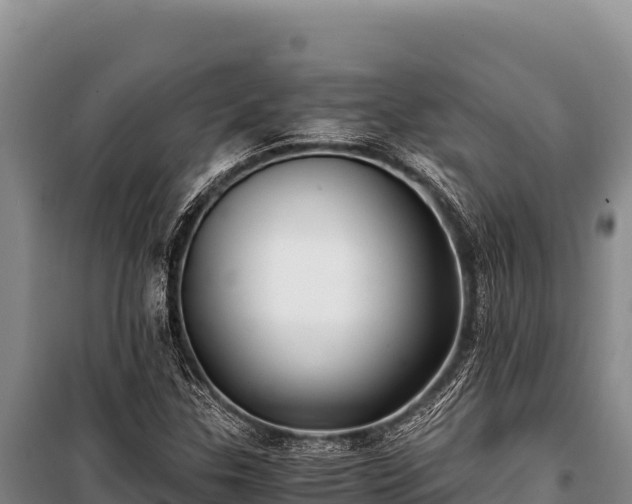 X0000100861307200806271150