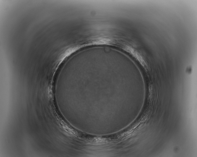 X0000100861308200806271150